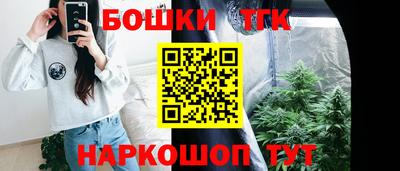 гидропоника Кингисепп