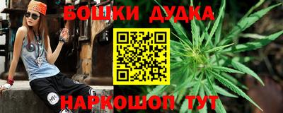 гидропоника Кингисепп