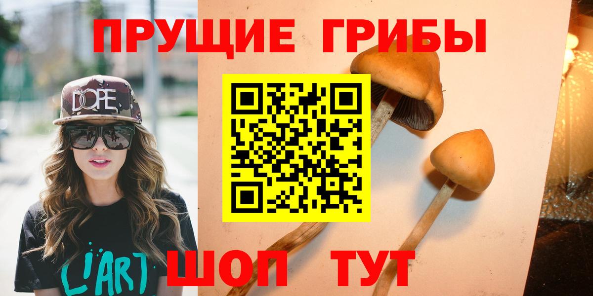 Костомукша  Псилоцибиновые грибы прущие грибы  Вход с VPN 